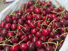 Trái cây Lâm Phương | Trái cây nhập khẩu tươi ngon mỗi ngày | Trái cây nhập khẩu Vũng Tàu 