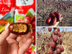 Táo đỏ Tân Cương một loại "thần dược" cho sức khỏe