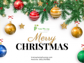 Trái Cây Lâm Phương gửi lời chúc Giáng Sinh đến Quý Khách Hàng