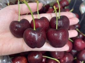 Cherry Chille Nhà Lâm Phương | Trái Cây nhập khẩu Vũng Tàu