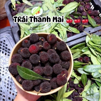 Trái Cây Tươi Giá Tốt Nhập Mỗi Ngày Tại Vũng Tàu 