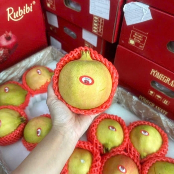 Top 100 địa điểm bán trái cây nhập khẩu uy tín hàng đầu Tp Hồ Chí Minh