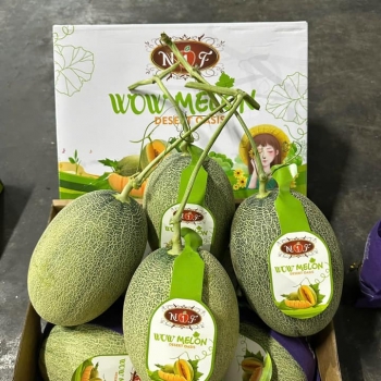 Trái Cây Cao Cấp – Giòn Ngọt Tự Nhiên, Giá Ưu Đãi 