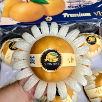 Trái Cây Nhập Khẩu Mỗi Ngày Tại Nhà Lâm Phương 14/8