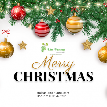 Trái Cây Lâm Phương gửi lời chúc Giáng Sinh đến Quý Khách Hàng