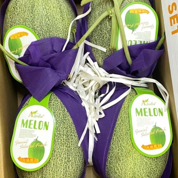 Dưa Lưới Đài Loan