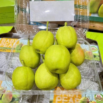 Lê Thiên Đường