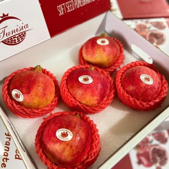 Lựu TUNISIAN Thái 