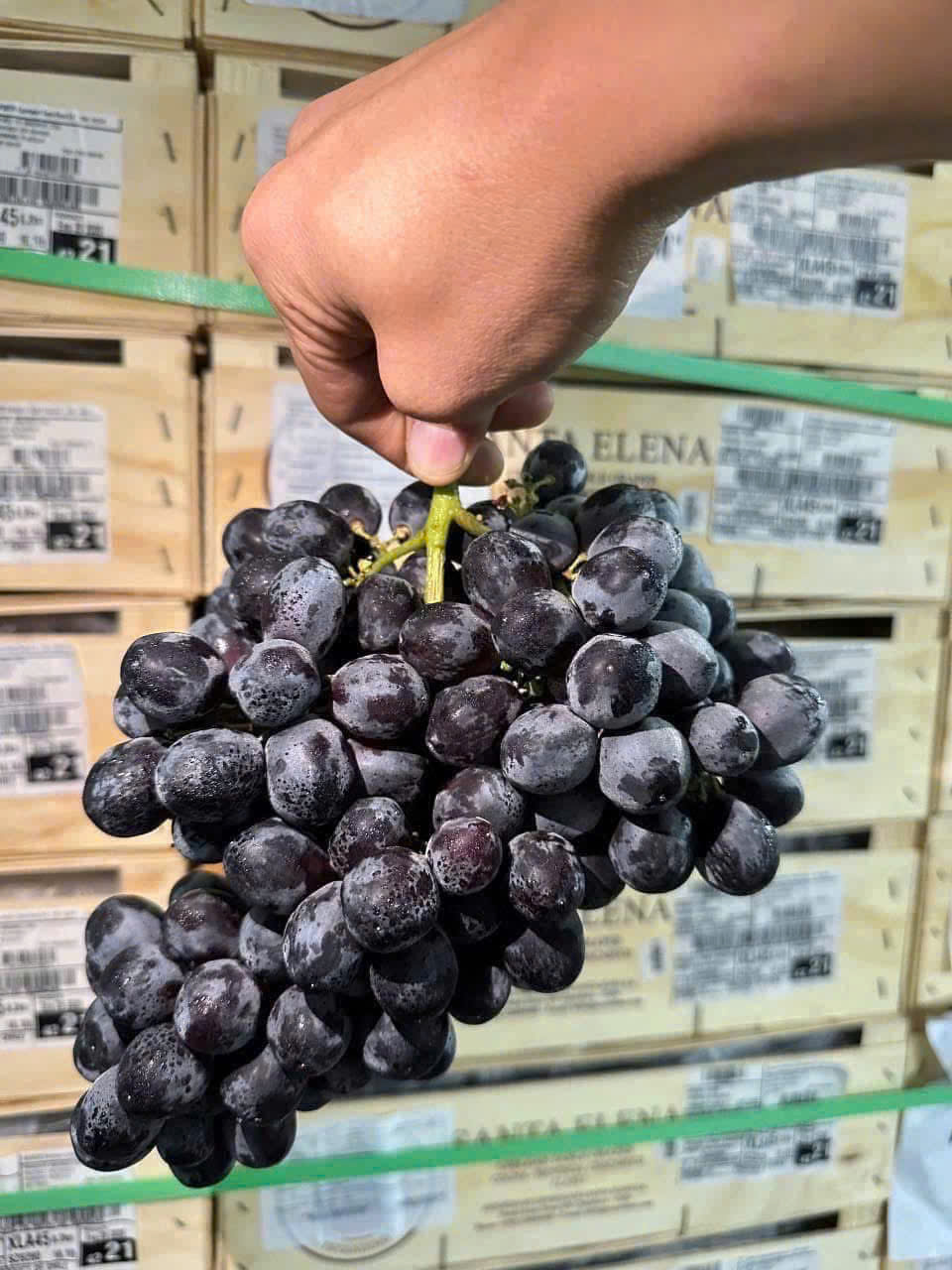 trái cây tươi vũng tàu