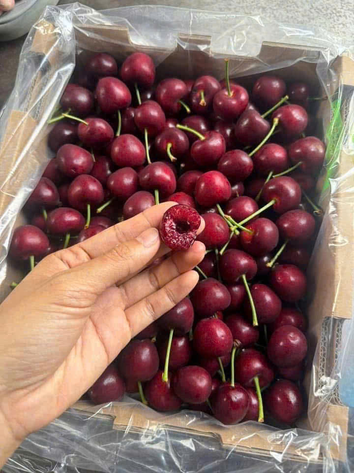 trái cây tươi vũng tàu