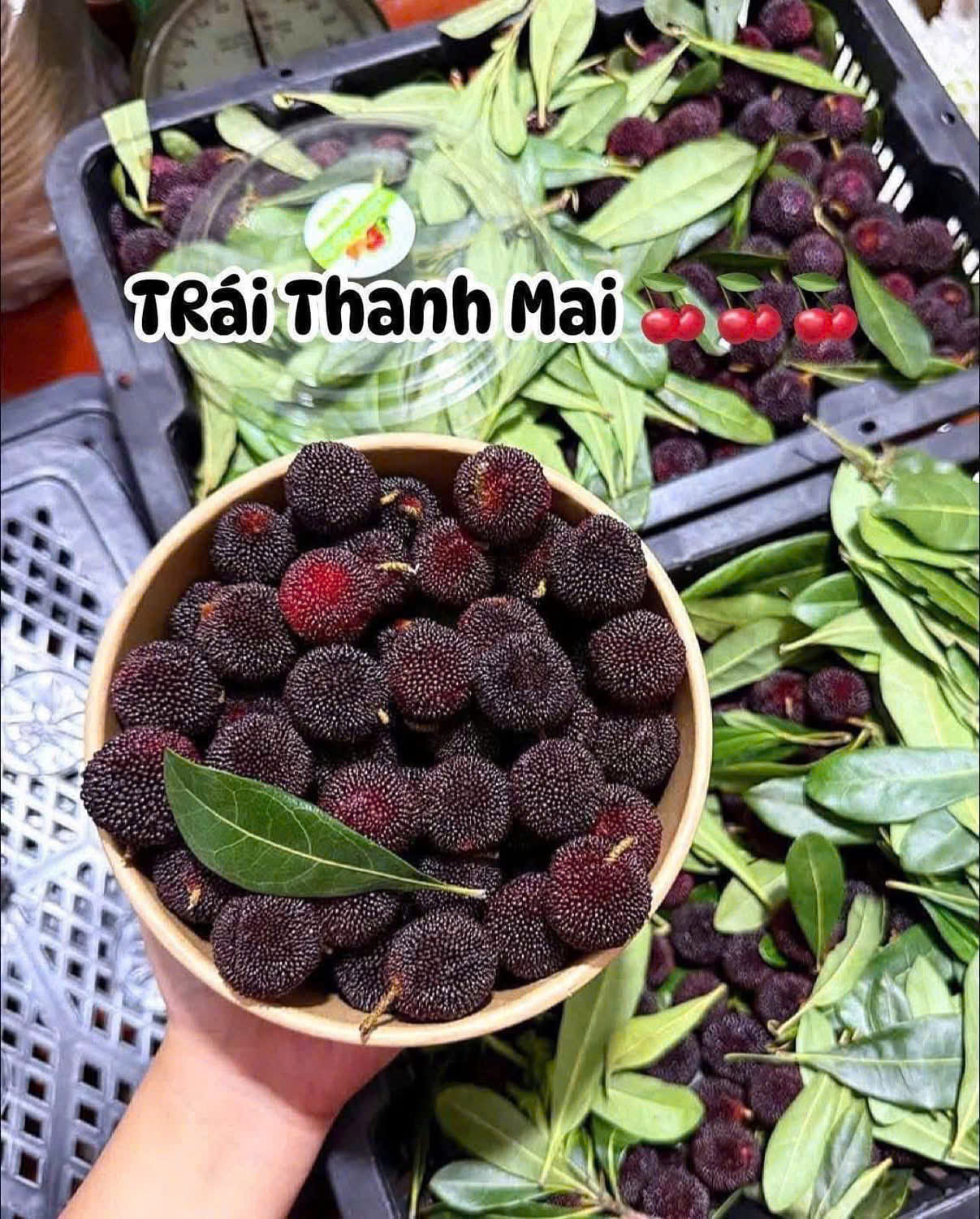 trái cây tươi vũng tàu