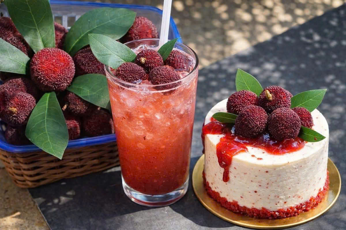 trái cây tươi vũng tàu