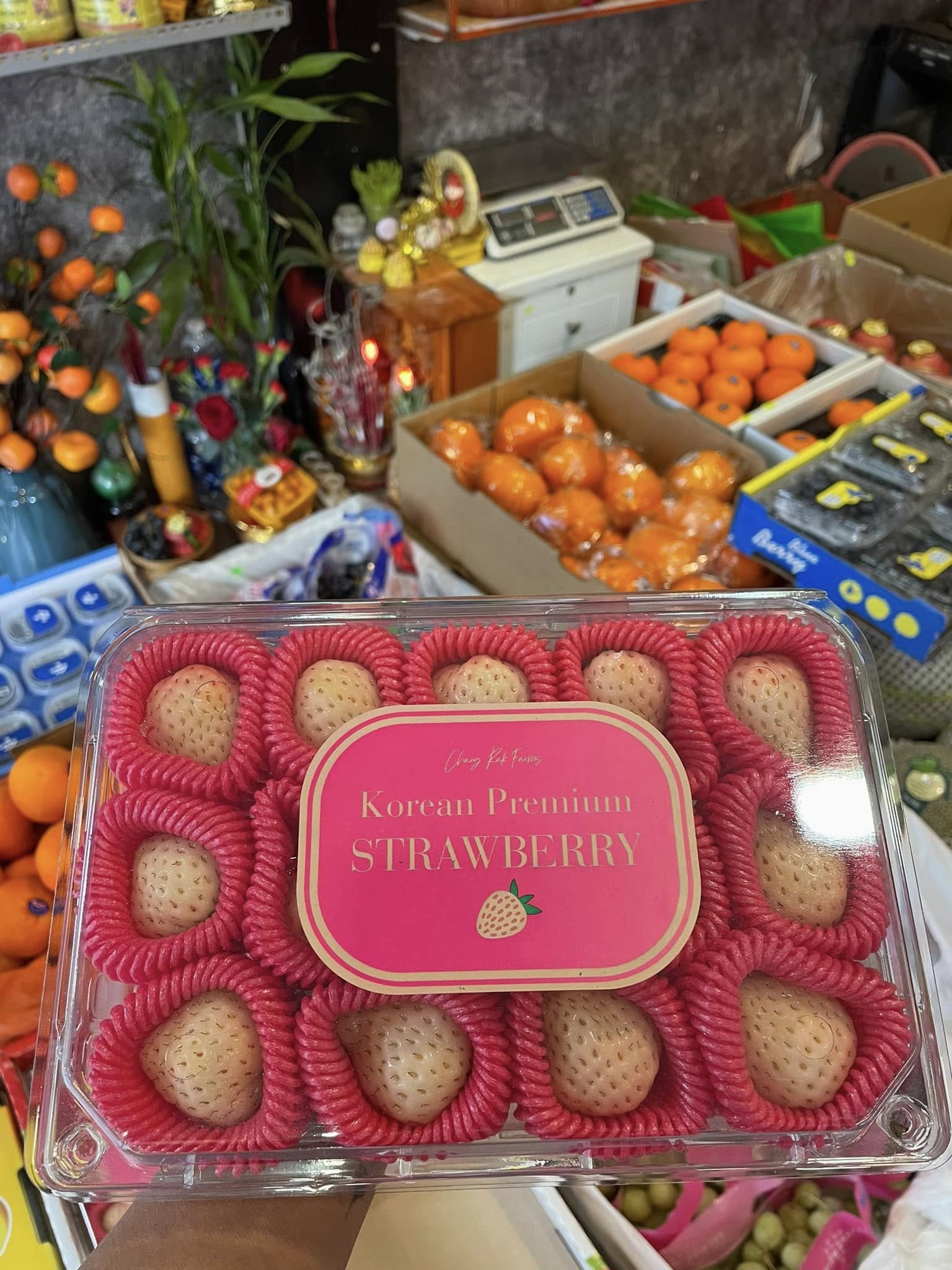 Trái Cây Nhập Khẩu cao cấp tại Vũng Tàu