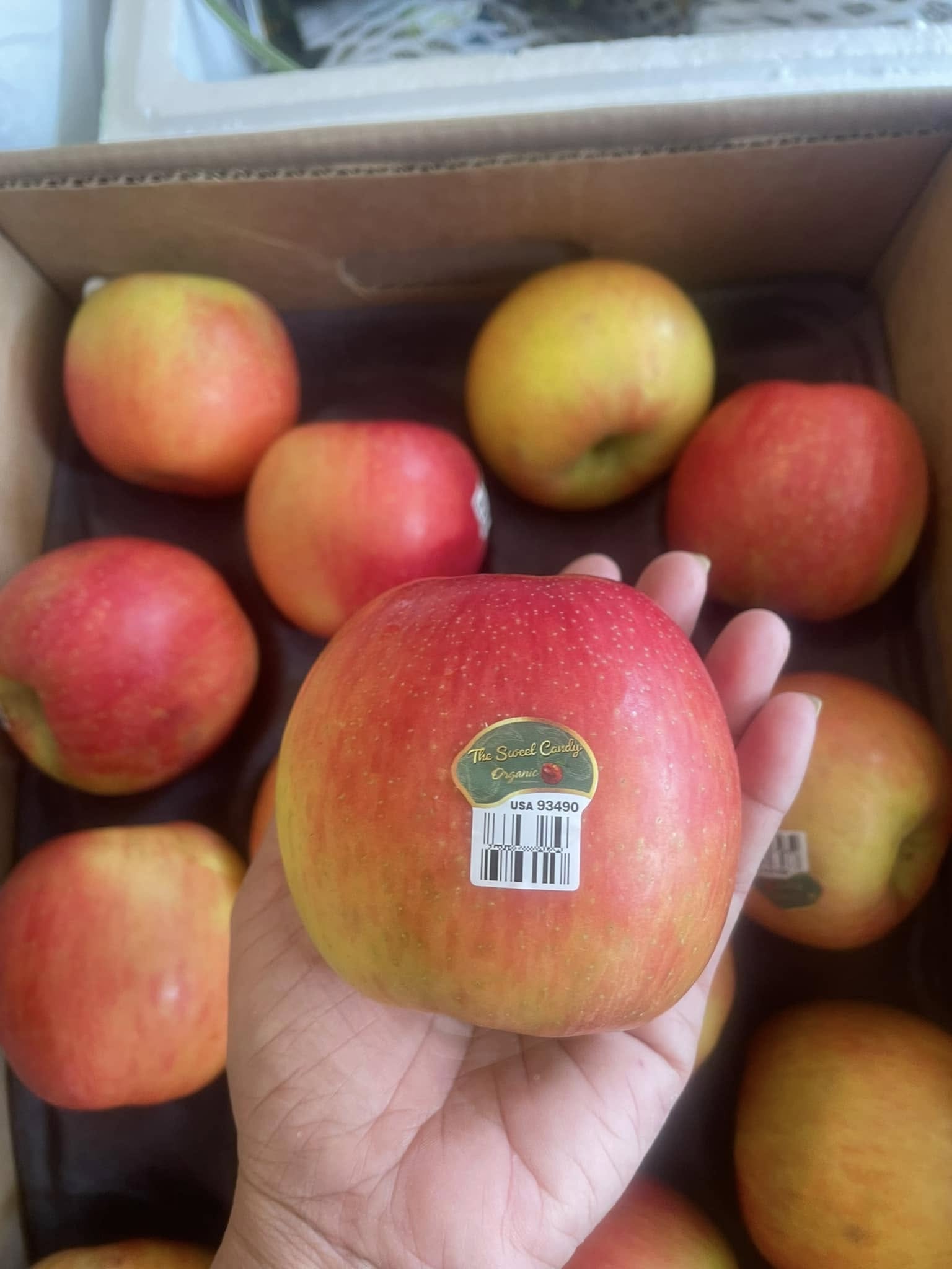 Trái Cây Nhập Khẩu cao cấp tại Vũng Tàu