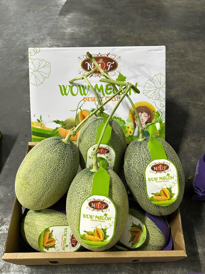 trái cây nhập khẩu