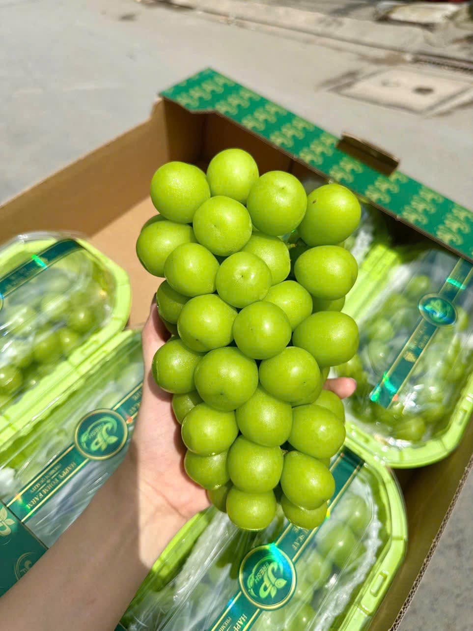 trái cây nhập khẩu mỗi ngày